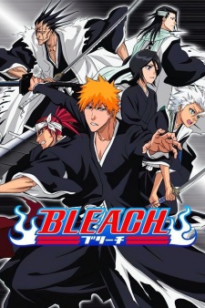Bleach cover