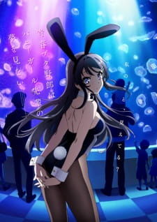 Seishun Buta Yarou wa Bunny Girl Senpai no Yume wo Minai cover